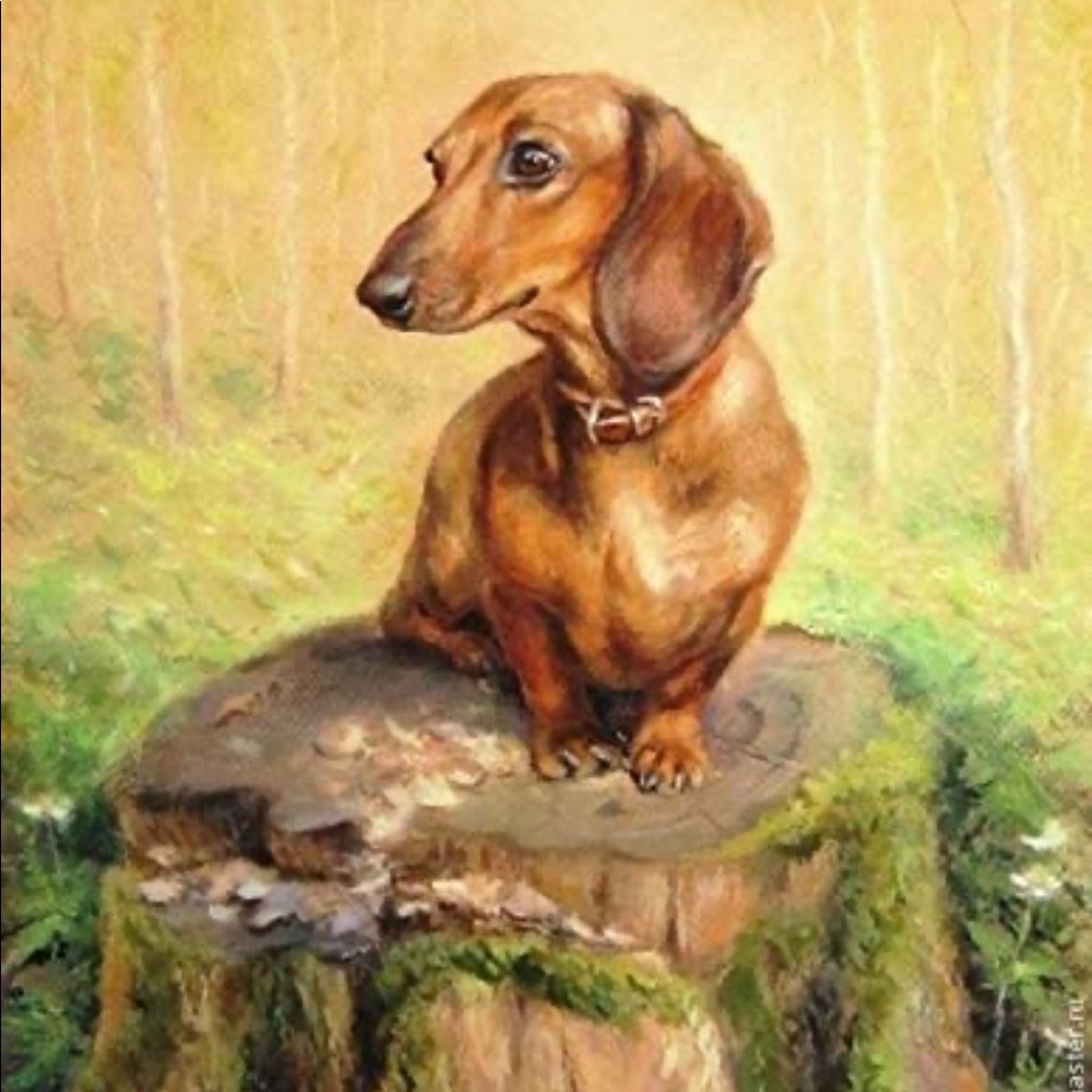 Dachshund Diamond Painting Kit